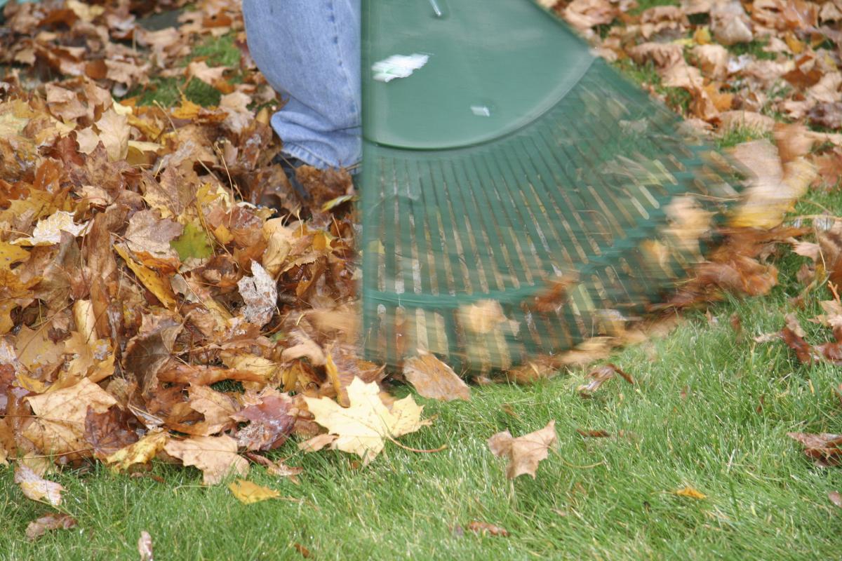 Fall leaf removal tips